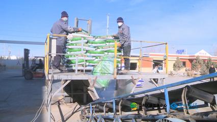 張掖市人民政府推動(dòng)生物飼料研發(fā)，助力農(nóng)業(yè)綠色發(fā)展