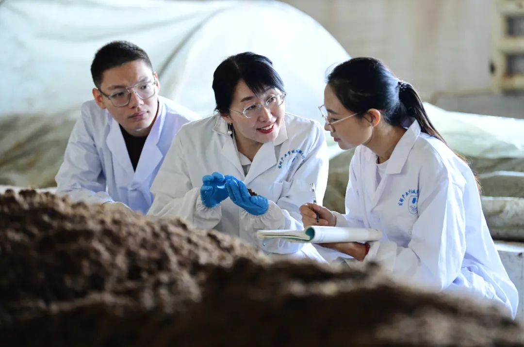 科研誠(chéng)信典范 生物飼料研發(fā)領(lǐng)域的堅(jiān)守與探索