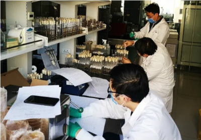 圖說(shuō)2020 那些感動(dòng)中輕的難忘瞬間——生物飼料研發(fā)篇